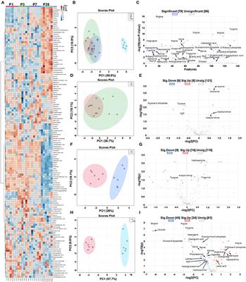 Metabolic Profile in Neonatal Pig Hearts